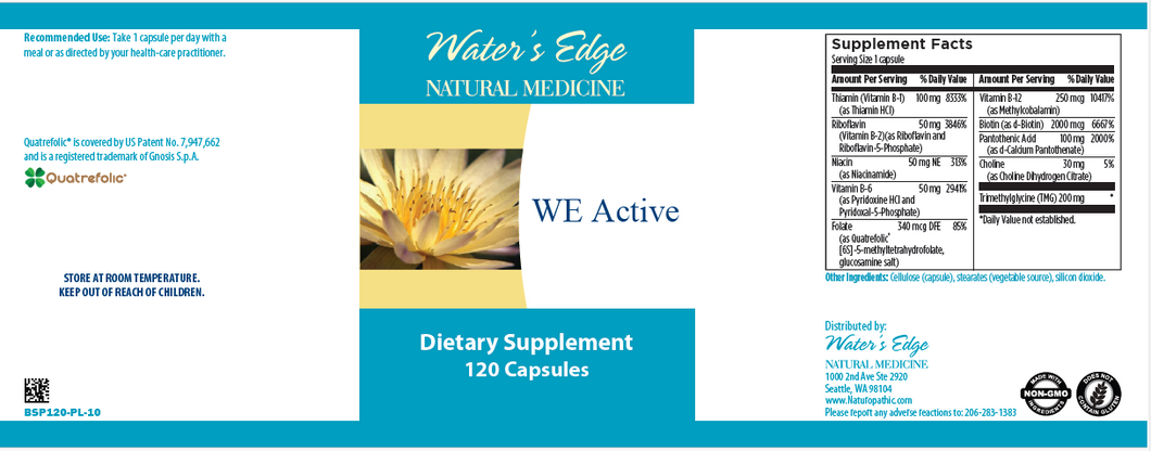 WE Active 120ct